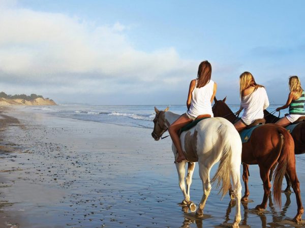 Horseback excursions of the island